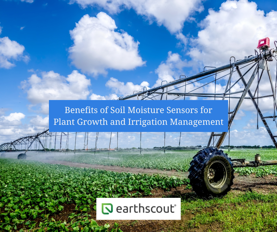 Benefits of Soil Moisture Sensors for Plant Growth and Irrigation